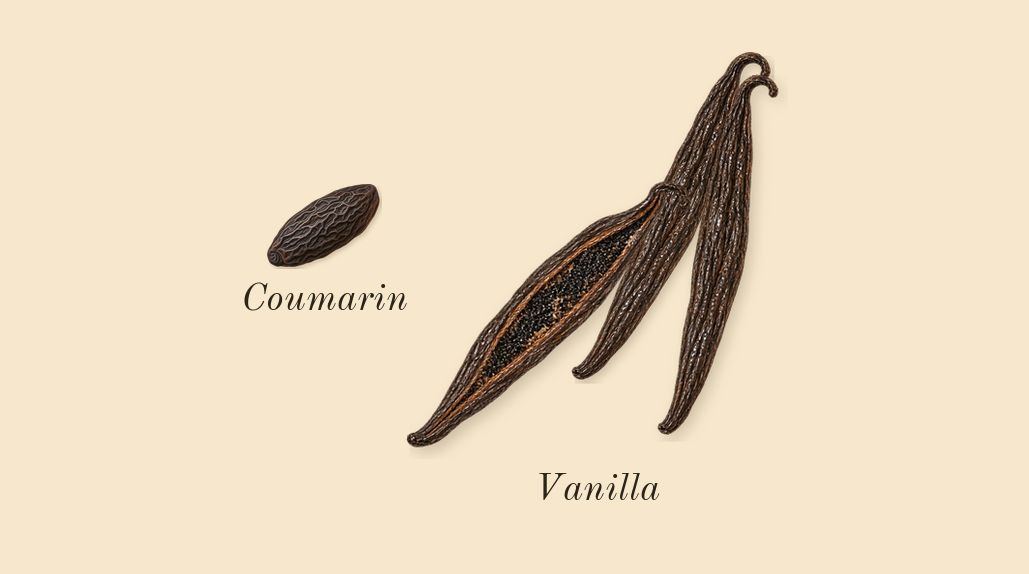Goddess, dry-down: Vanilla, Coumarin