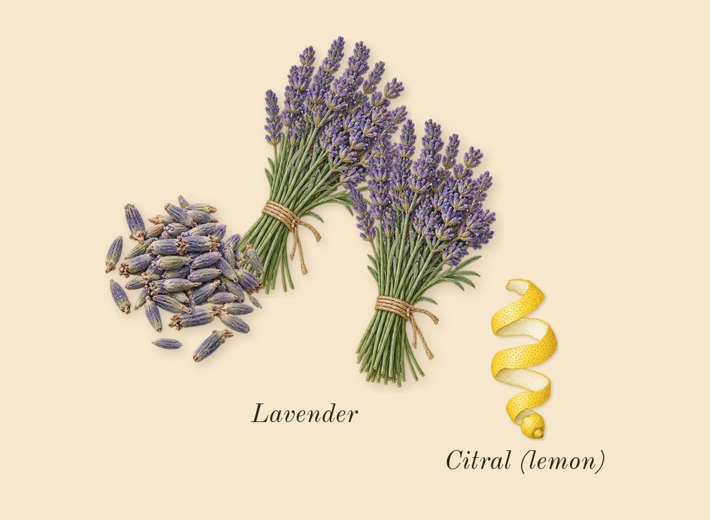 Goddess Intense, top notes: Lavender, Citral (lemon)