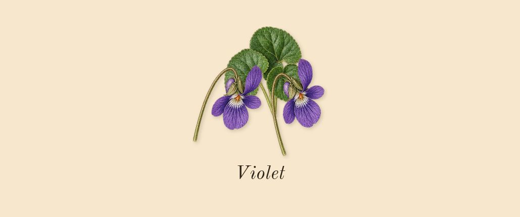 Her, top notes: Violet