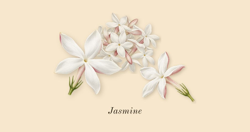 Her, heart: Jasmine
