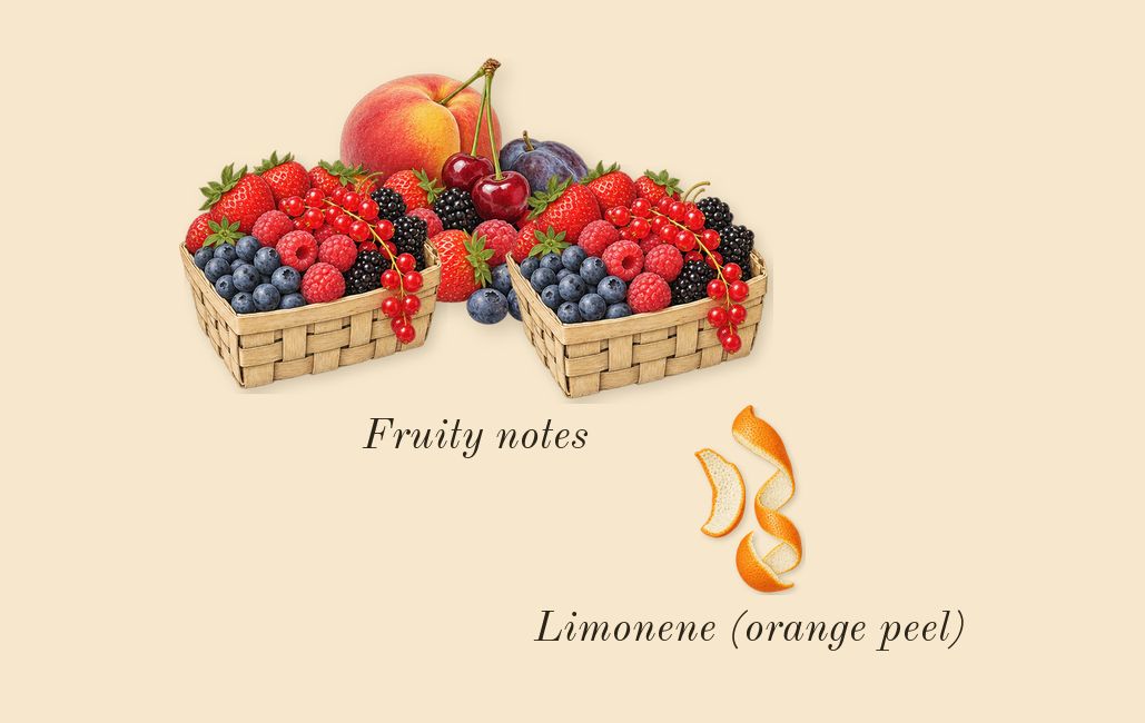 Her, top notes: Fruity notes, Limonene (orange peel)