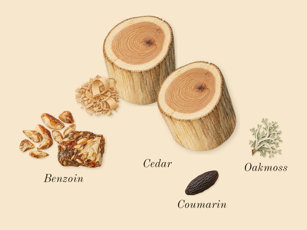 Hero, dry-down: Benzoin, Cedar, Oakmoss, Coumarin