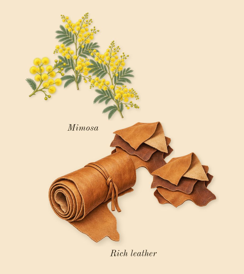 London for Men, heart: Mimosa, Rich leather
