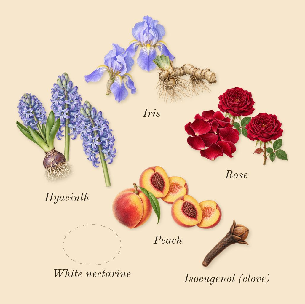 Weekend, heart: Rose, Peach, Iris, Hyacinth, White nectarine, Isoeugenol (clove)