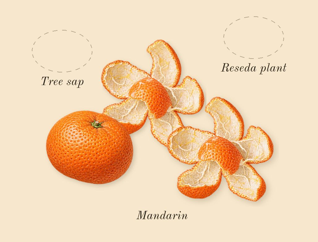 Weekend, top notes: Mandarin, Tree sap, Reseda plant