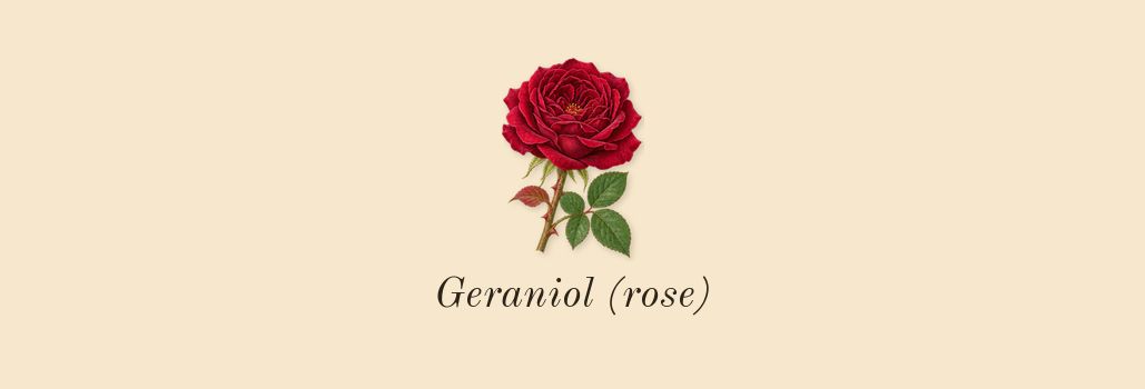 Le Gemme Tygar, heart: Geraniol (rose)