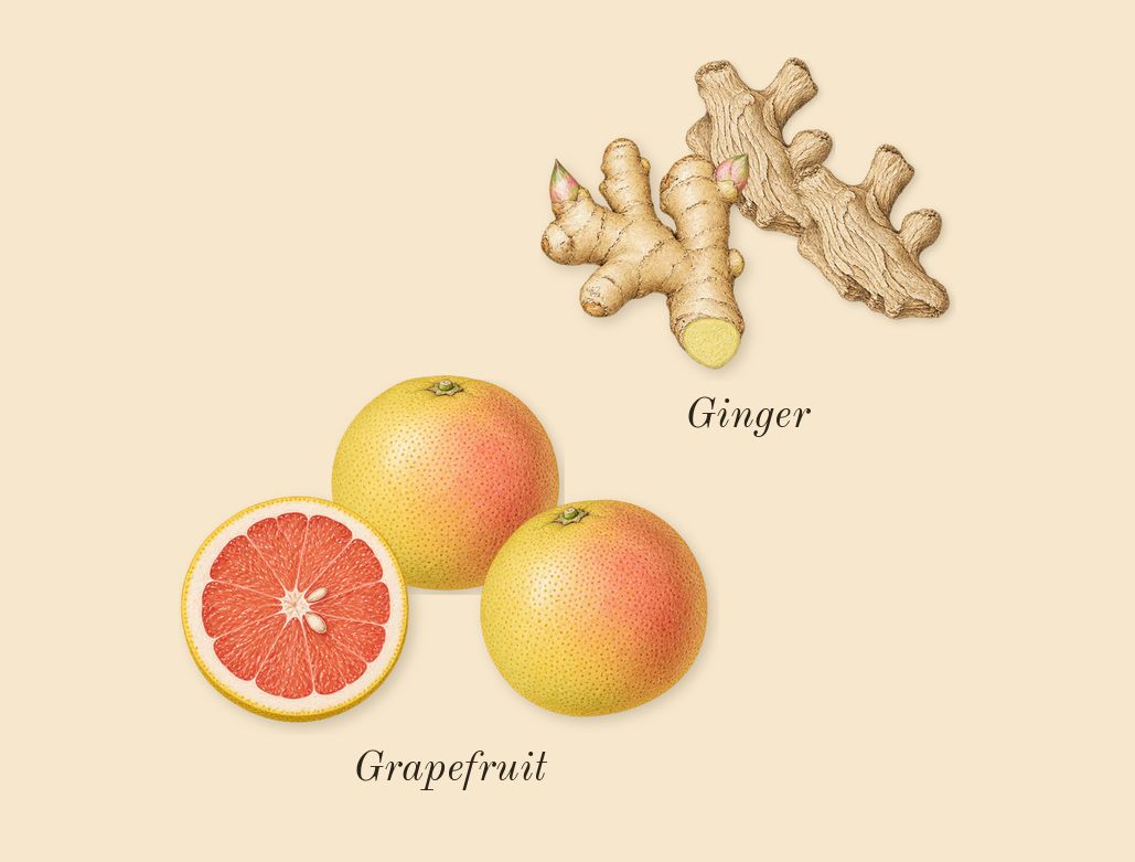 Le Gemme Tygar, top notes: Grapefruit, Ginger