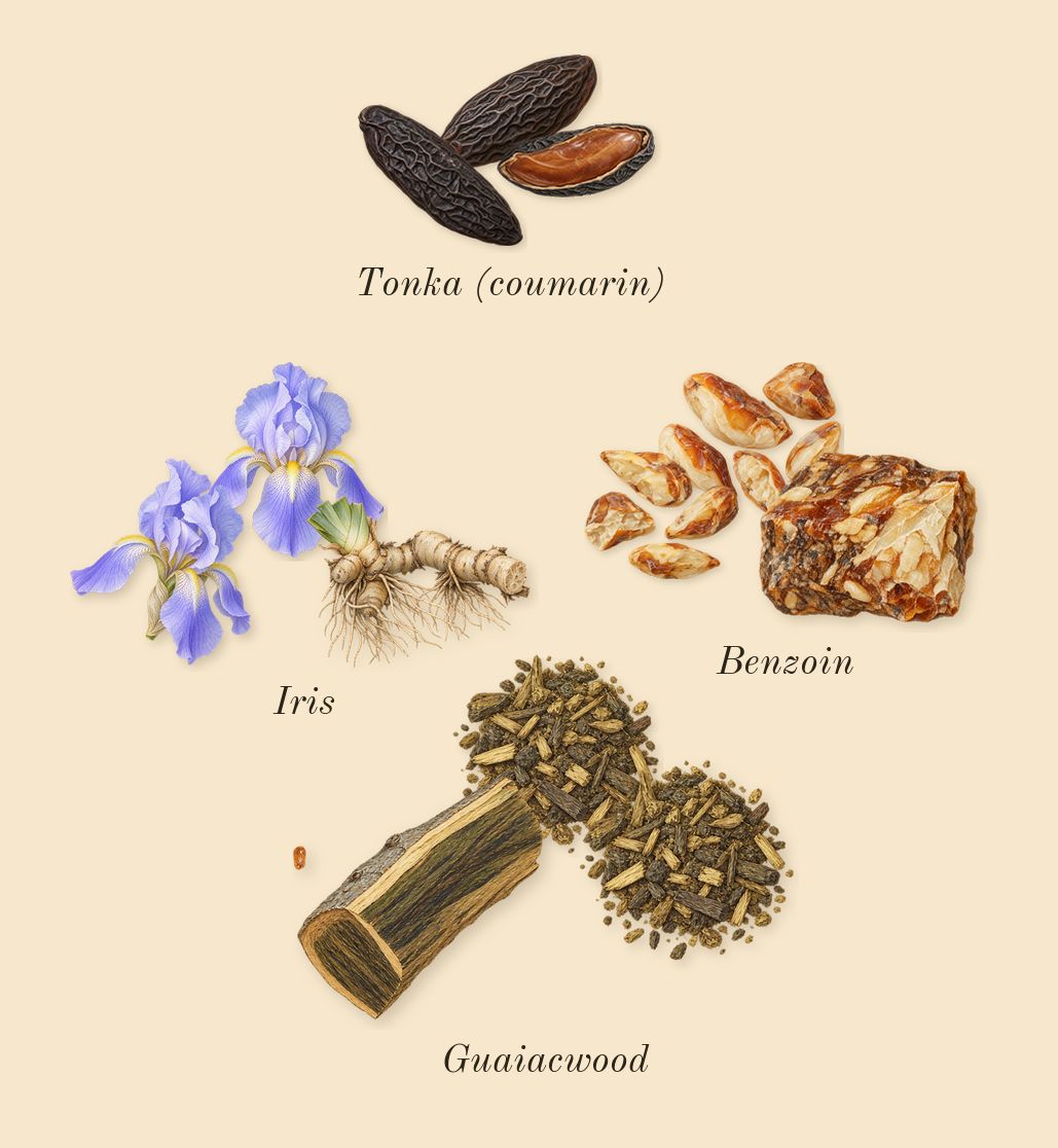 Man in Black, dry-down: Benzoin, Guaiacwood, Iris, Tonka (coumarin)
