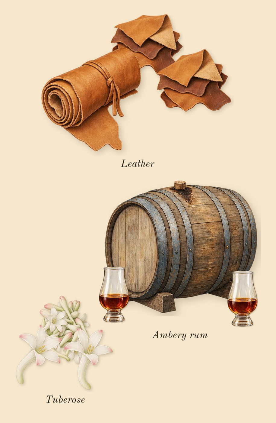 Man in Black, heart: Tuberose, Leather, Ambery rum