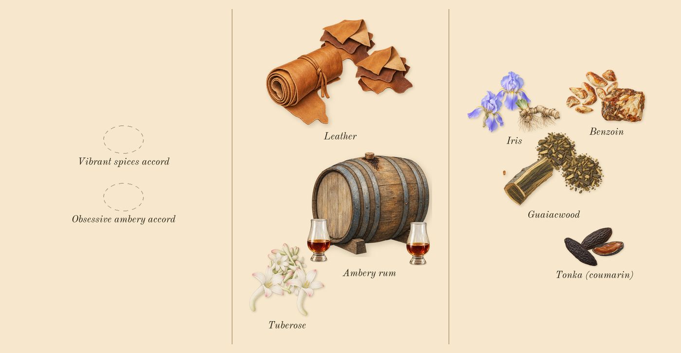 Man in Black’s scent picture, a draft: tuberose, leather, benzoin, guaiacwood, ambery rum, iris drawn so far; dashed outlines where nothing is drawn yet