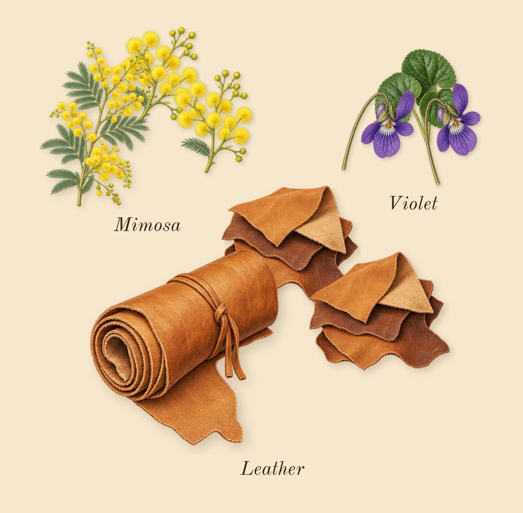 Animalique, heart: Violet, Mimosa, Leather