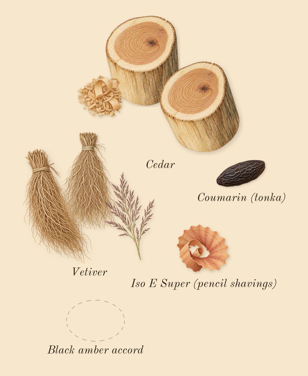 Bal d'Afrique Absolu, dry-down: Cedar, Vetiver, Black amber accord, Iso E Super (pencil shavings), Coumarin (tonka)