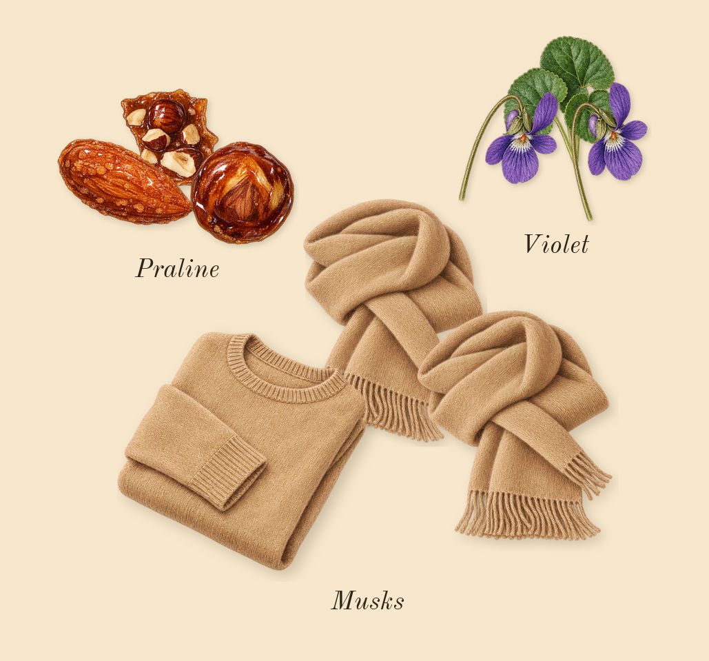 Bal d'Afrique Absolu, heart: Musks, Praline, Violet
