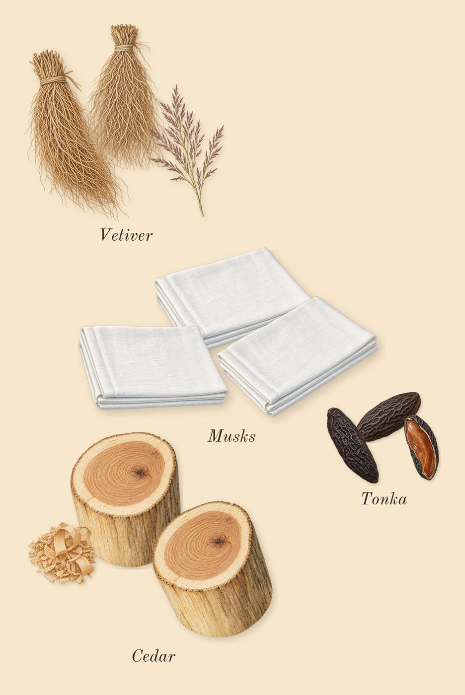Bal d'Afrique, dry-down: Tonka, Cedar, Musks, Vetiver