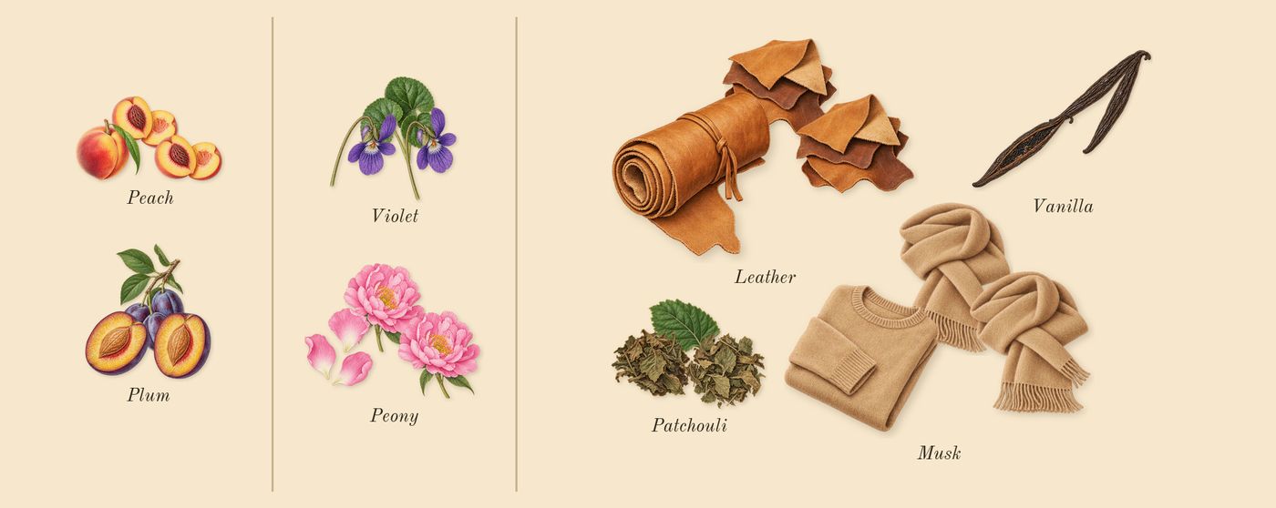 Bibliothèque’s scent picture, a draft: peach, plum, peony, violet, leather, patchouli drawn so far; dashed outlines where nothing is drawn yet