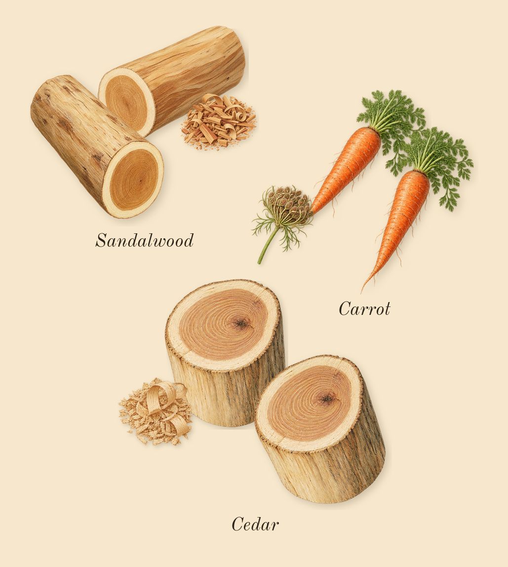 Desert Dawn, heart: Carrot, Cedar, Sandalwood