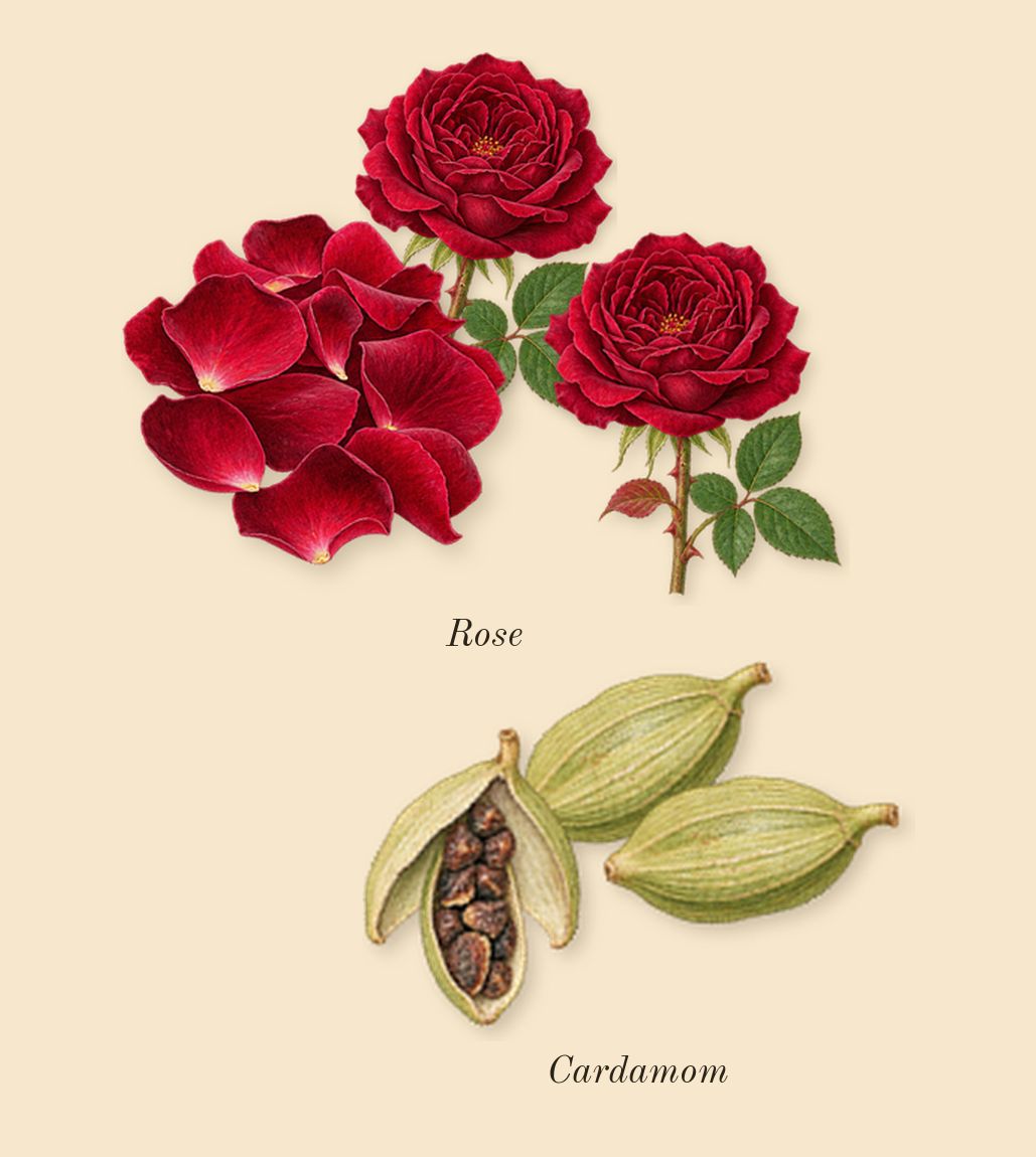 Desert Dawn, top notes: Cardamom, Rose