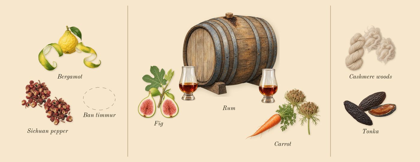 Eleventh Hour’s scent picture, a draft: bergamot, carrot, rum, fig, tonka, cashmere woods drawn so far; dashed outlines where nothing is drawn yet
