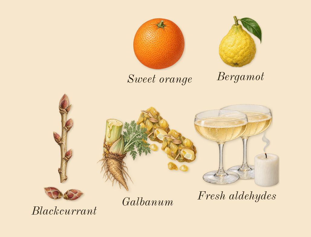 Future Memories, top notes: Blackcurrant, Fresh aldehydes, Galbanum, Bergamot, Sweet orange