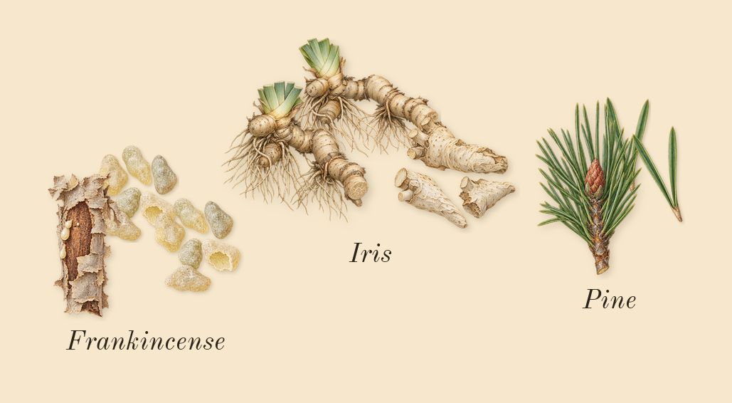 Gypsy Water, heart: Frankincense, Iris, Pine