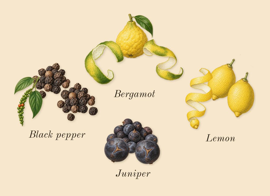 Gypsy Water, top notes: Bergamot, Juniper, Lemon, Black pepper