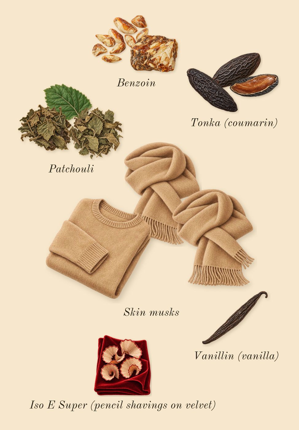 Havana Tonka, dry-down: Skin musks, Tonka (coumarin), Patchouli, Benzoin, Iso E Super (pencil shavings on velvet), Vanillin (vanilla)