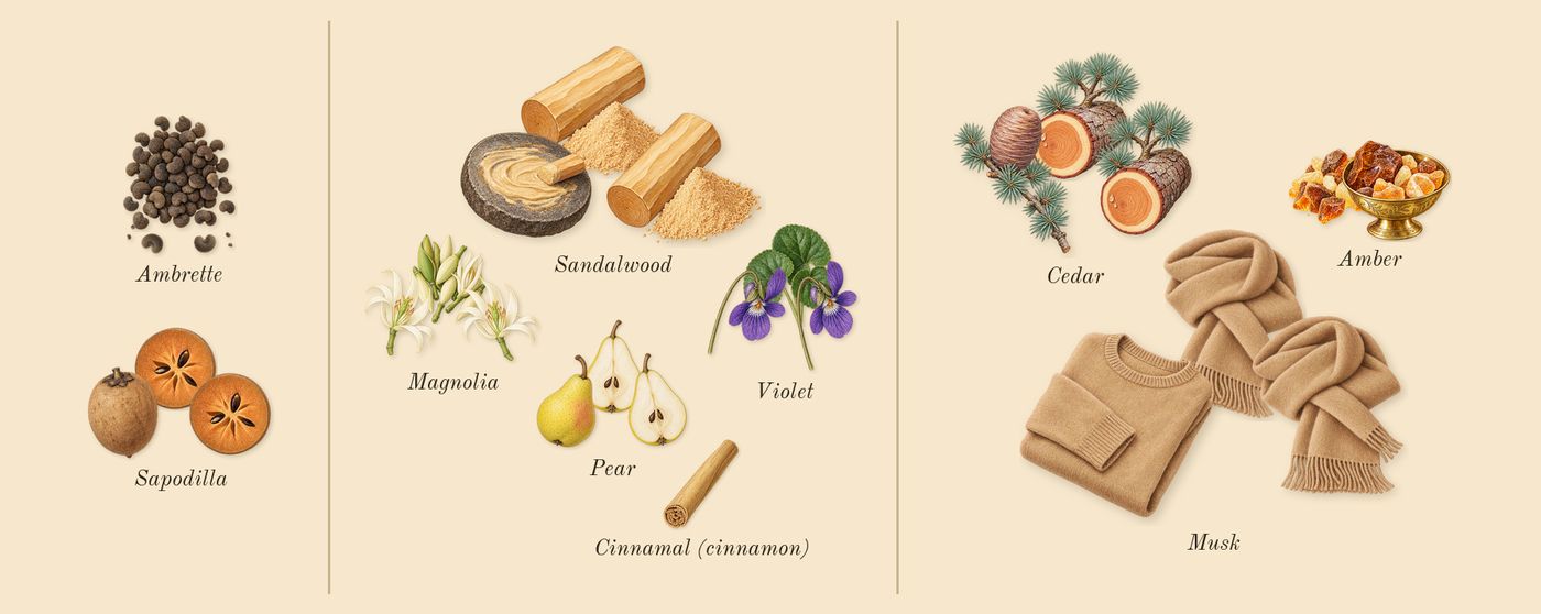 Mojave Ghost Absolu’s scent picture, a draft: ambrette, sapodilla, magnolia, sandalwood, violet, cedar drawn so far; dashed outlines where nothing is drawn yet