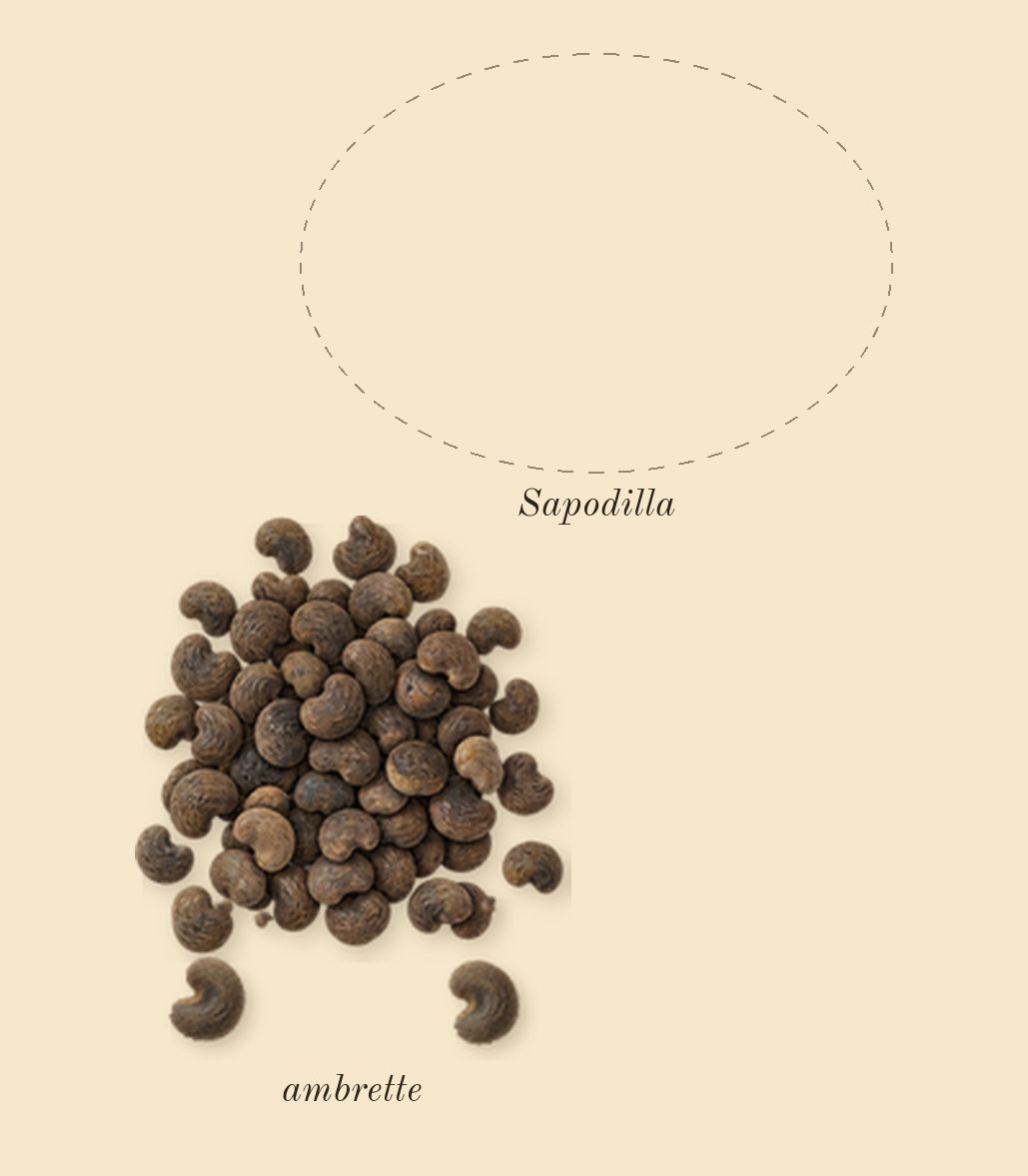 Mojave Ghost, top notes: ambrette, Sapodilla