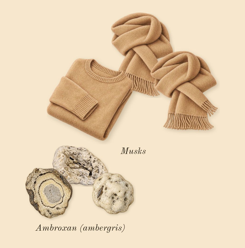 Young Rose, dry-down: Musks, Ambroxan (ambergris)
