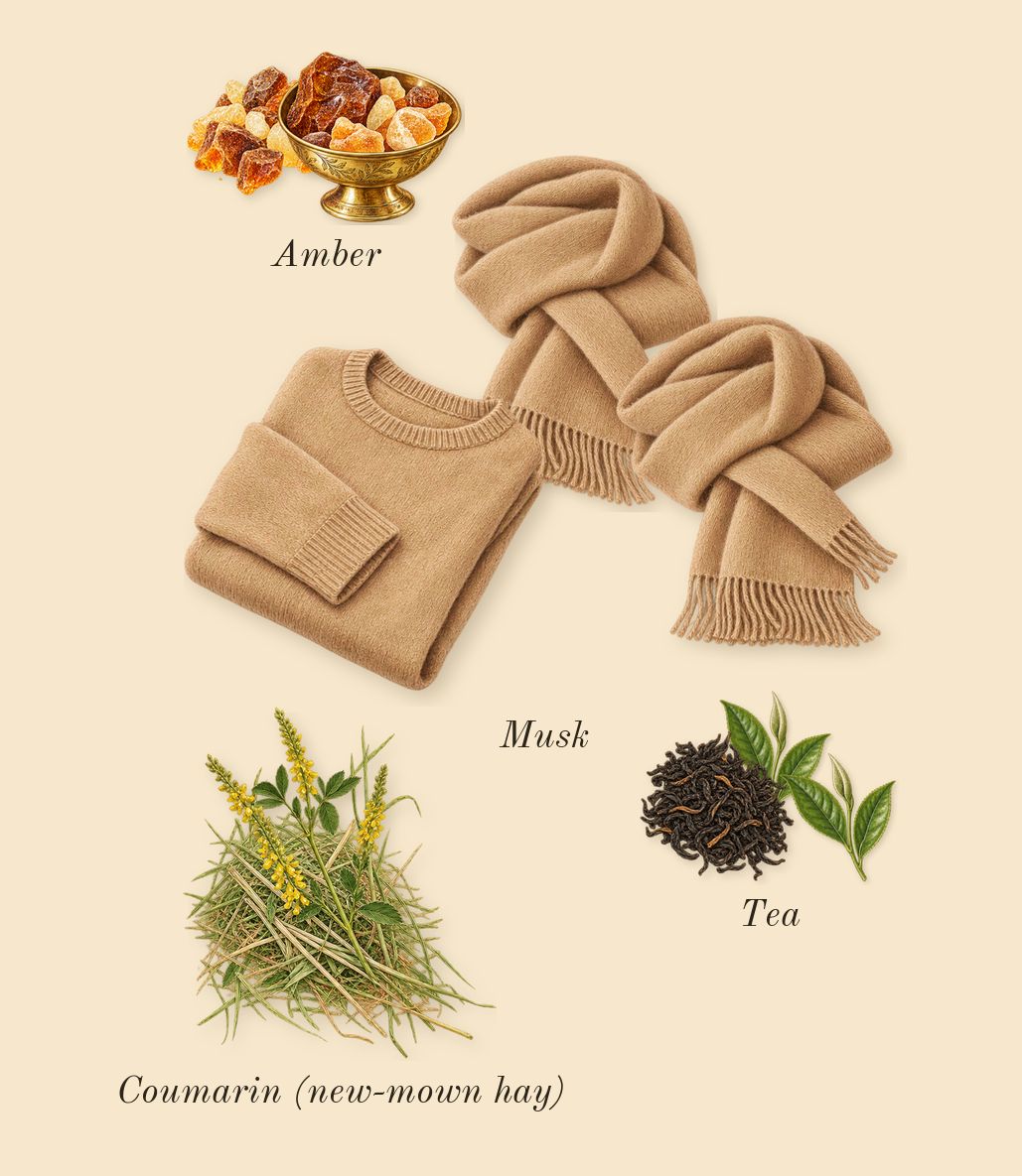 CK One, dry-down: Musk, Amber, Tea, Coumarin (new-mown hay)