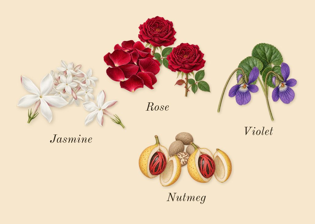 CK One, heart: Jasmine, Violet, Rose, Nutmeg