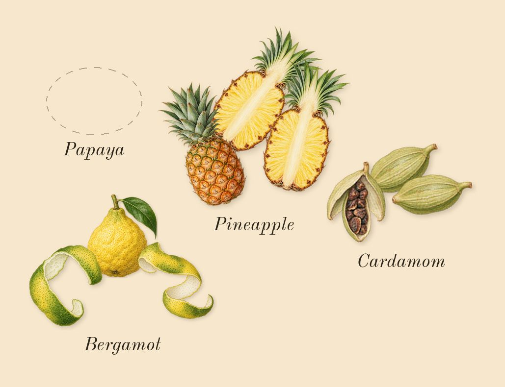 CK One, top notes: Bergamot, Cardamom, Pineapple, Papaya
