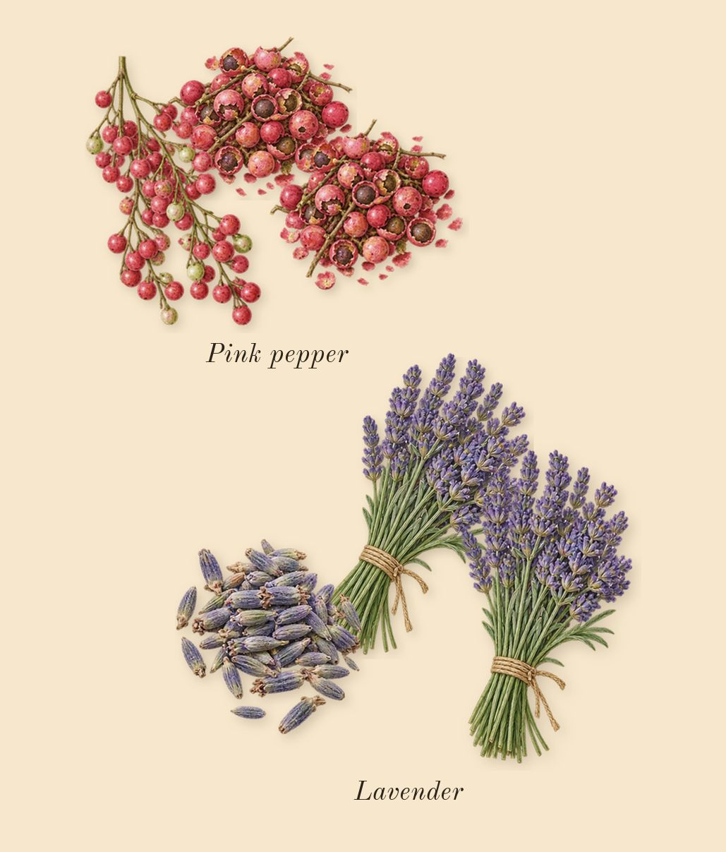 Bad Boy Cobalt, top notes: Pink pepper, Lavender