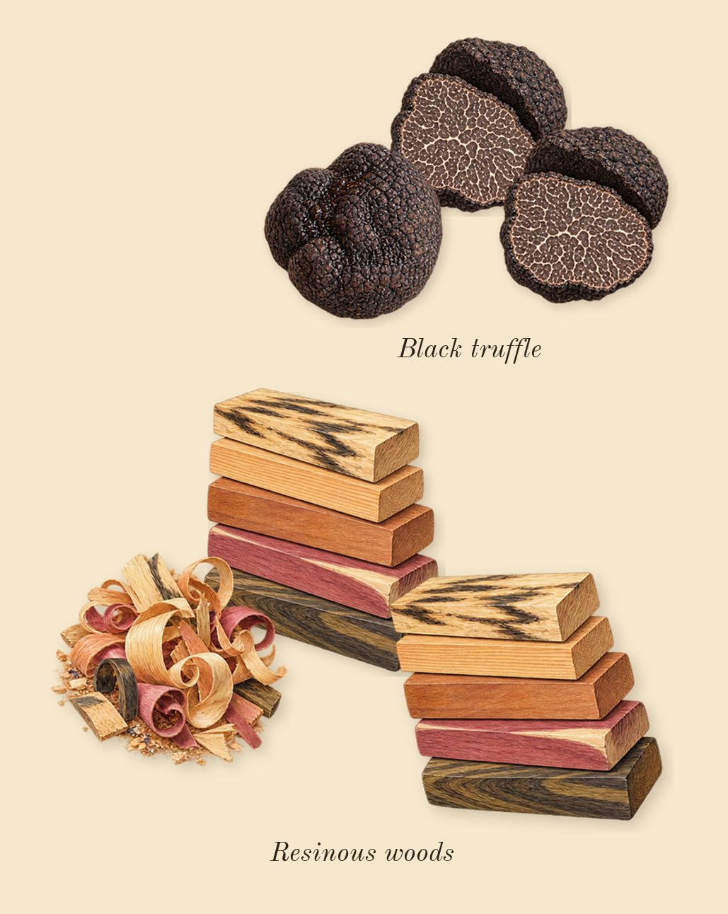 Bad Boy Cobalt Elixir, heart: Black truffle, Resinous woods