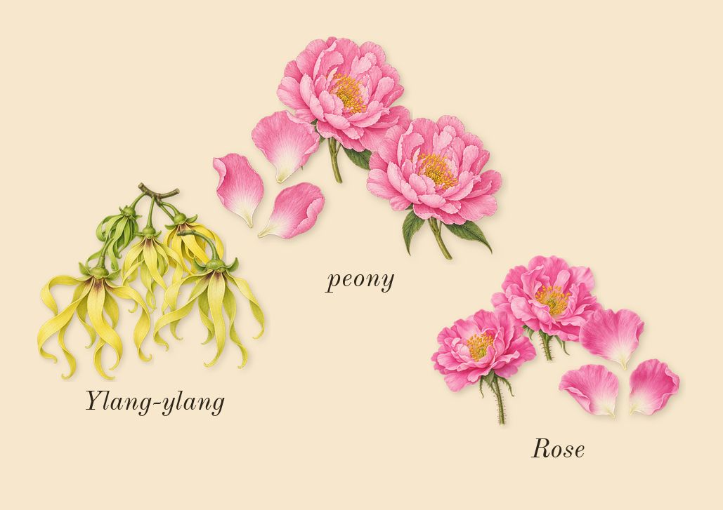 Good Girl Blush, heart: Ylang-ylang, peony, Rose