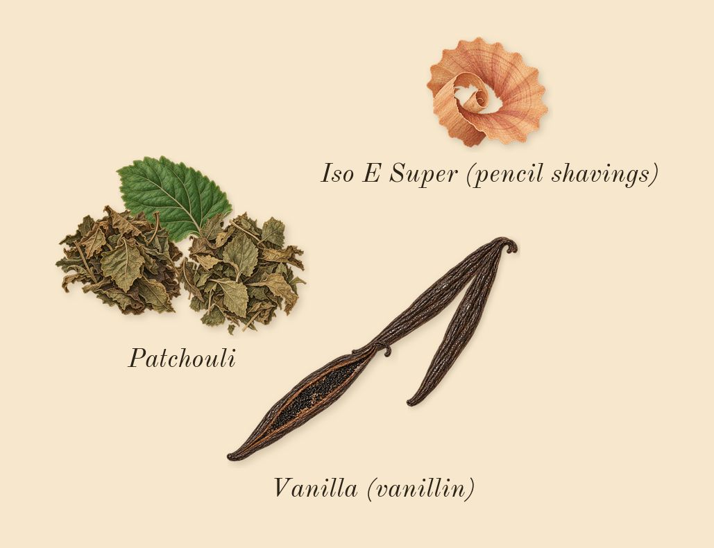 Good Girl Blush Elixir, dry-down: Vanilla (vanillin), Patchouli, Iso E Super (pencil shavings)