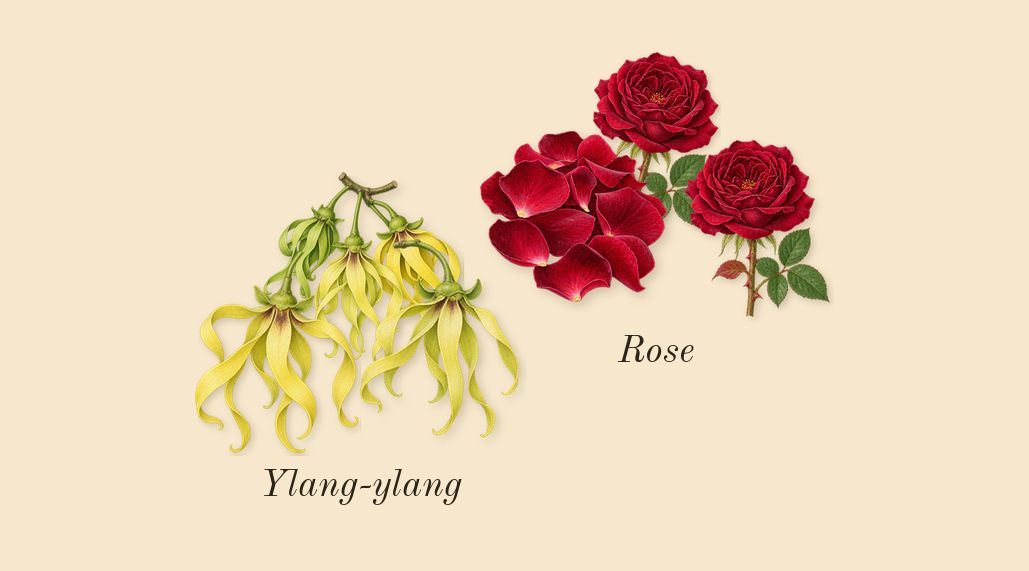 Good Girl Blush Elixir, heart: Rose, Ylang-ylang