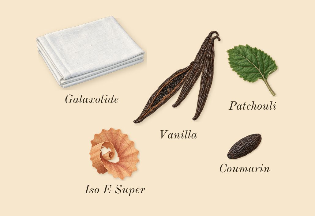 La Bomba, dry-down: Vanilla, Patchouli, Iso E Super, Galaxolide, Coumarin