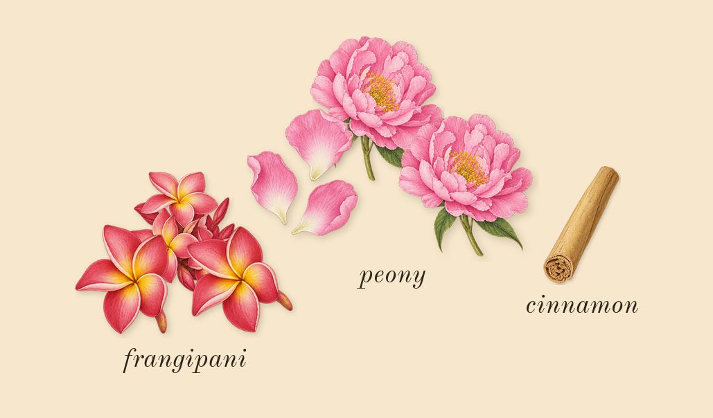 La Bomba, heart: peony, frangipani, cinnamon