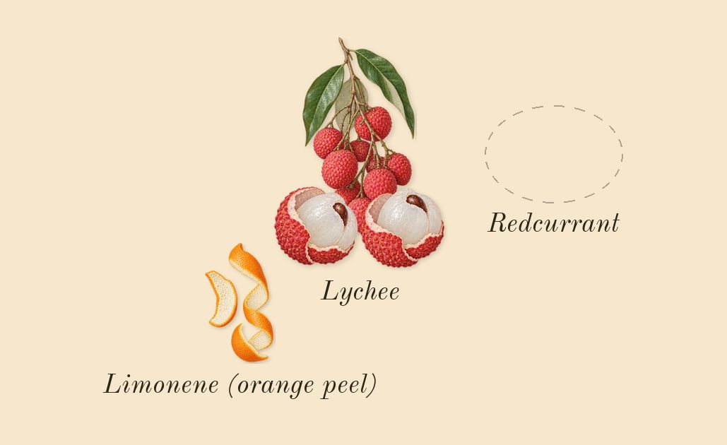 Very Good Girl, top notes: Redcurrant, Lychee, Limonene (orange peel)