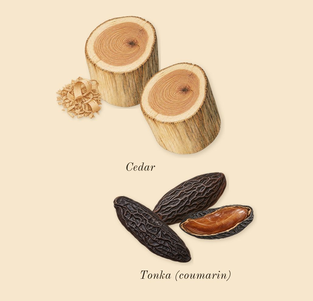 Allure Homme Sport, dry-down: Cedar, Tonka (coumarin)