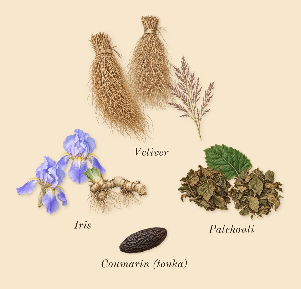 Chance Eau Fraîche, dry-down: Vetiver, Patchouli, Iris, Coumarin (tonka)