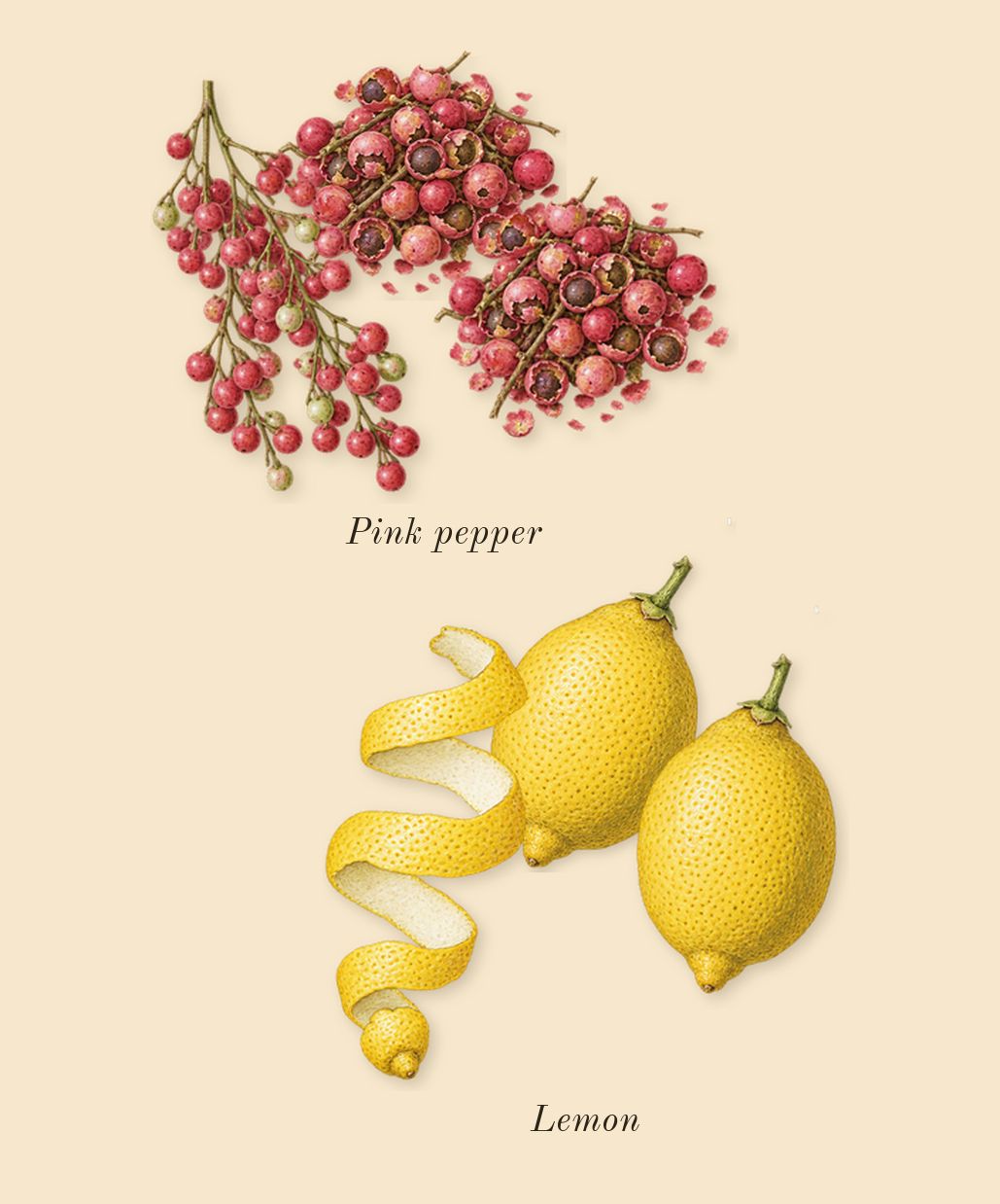 Chance Eau Fraîche, top notes: Lemon, Pink pepper