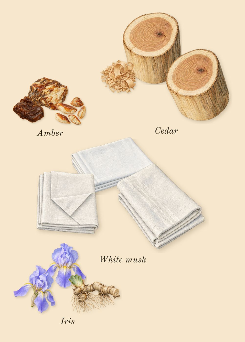 Chance Eau Splendide, dry-down: Iris, Cedar, White musk, Amber