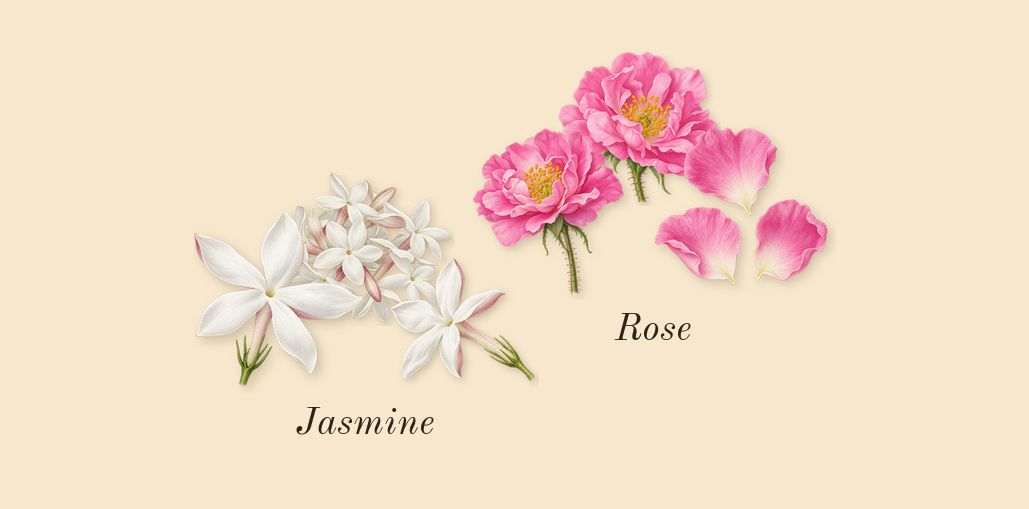 Chance Eau Tendre, heart: Jasmine, Rose
