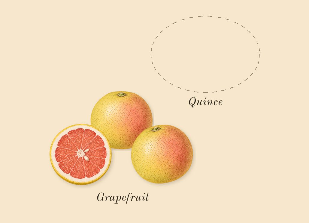 Chance Eau Tendre, top notes: Grapefruit, Quince