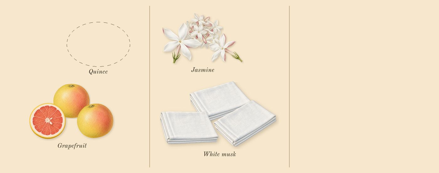 Chance Eau Tendre’s scent picture, a draft: grapefruit, jasmine, white musk drawn so far; dashed outlines where nothing is drawn yet