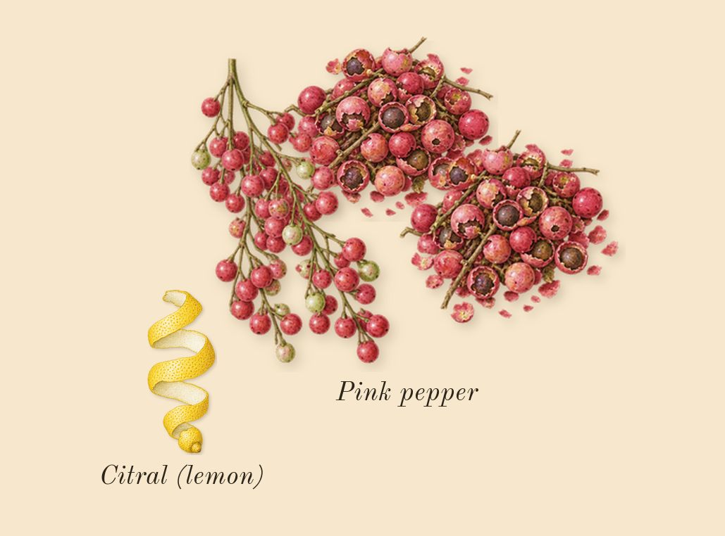 Chance, top notes: Pink pepper, Citral (lemon)