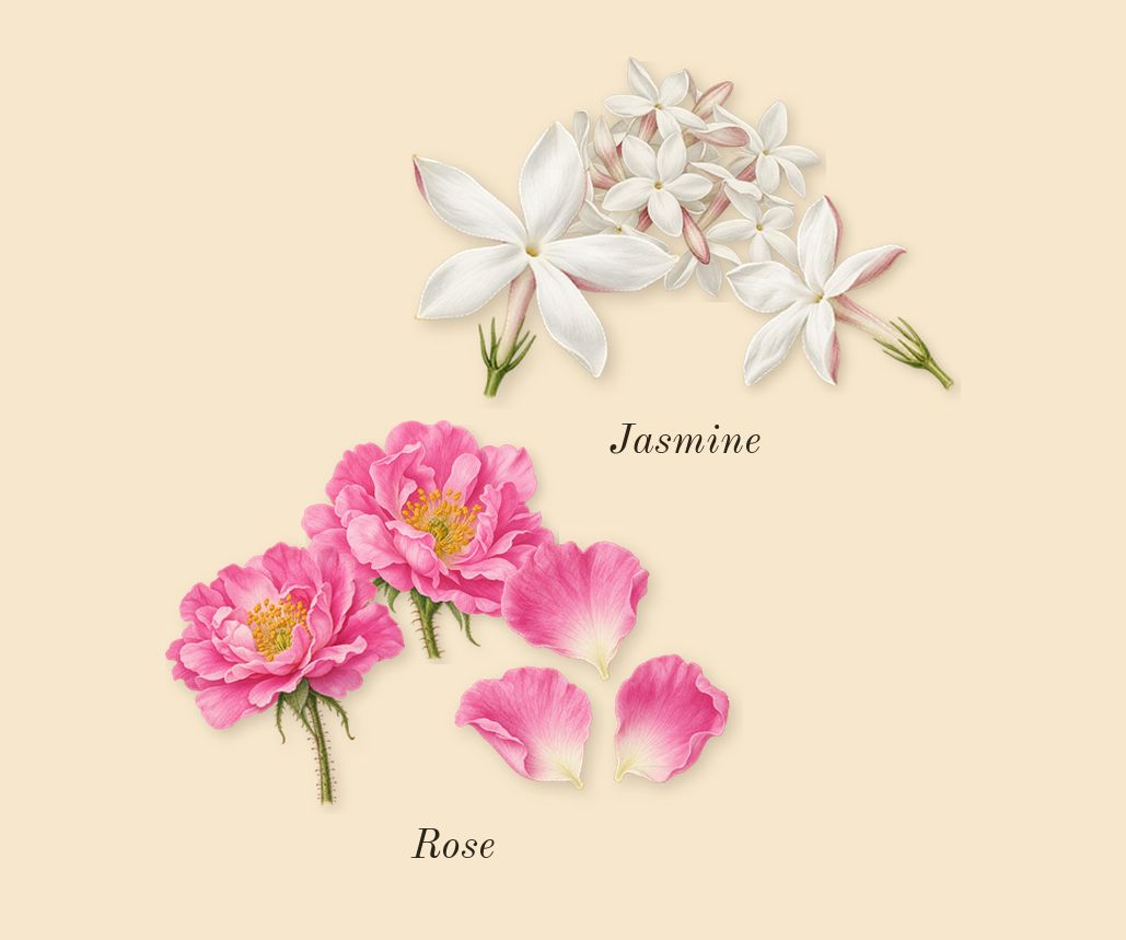 Coco Mademoiselle, heart: Jasmine, Rose