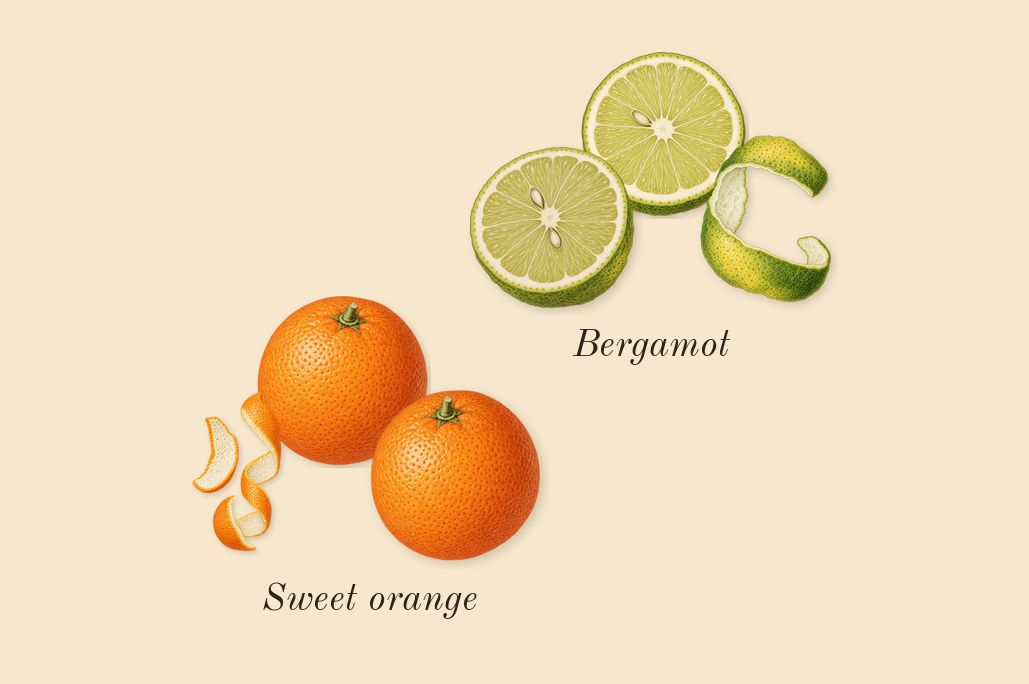 Coco Mademoiselle, top notes: Sweet orange, Bergamot